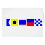 Code Flag Aiden cards