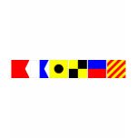Code Flag Bailey t-shirts