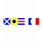 Code Flag Micah t-shirts