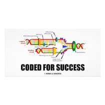 Coded For Success (DNA Replication)