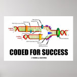 Coded For Success (DNA Replication) Poster