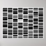 Codex Poster