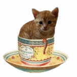 Coffee Anyone? kitten photo sculpture photo sculptures