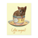 Coffee Anyone? kitten postcard