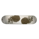 Coffee beans skateboards
