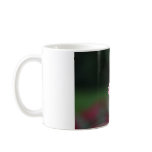 COFFEE BEE-AN & FLOWER mugs