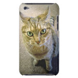Coffee Cat Cover iPod Touch Covers