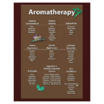 Coffee Coloured Aromatherapy Chart flyer