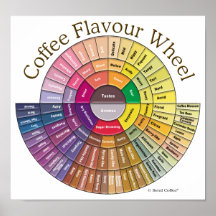 Coffee Flavour Wheel Wall Art Posters