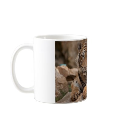 Coffee mug - Thailand Tiger - Tiger Temple