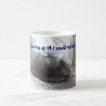 Coffee Seal Mug