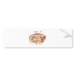 Coffee Time Bumper Stickers