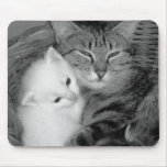 coil Cats Mousepad