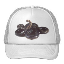Coiled and Ready to Strike Snake Hat