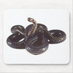 Coiled and Ready to Strike Snake Mouse Mat