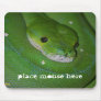 Coiled Exotic Green Snake Mouse Pad
