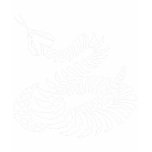 Coiled Rattlesnake Bones t-shirts