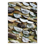 Coins Hammered Into A Trunk Card