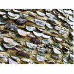 Coins Hammered Into A Trunk Cut Outs