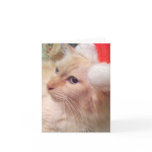 Cokie Cat Sm Christmas Cards