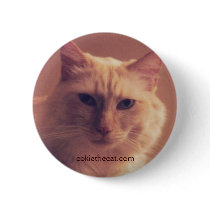 cokiethecat.com Button