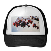 Cold and Crabby Hats