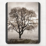 cold and lovely mouse mats