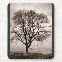 cold and lovely mouse mats