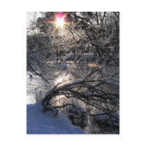 Cold River Hafren Post Cards