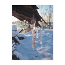 cold winter icicles after first snow storm postcards