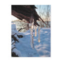cold winter icicles after first snow storm postcards