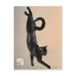 Cole as Kanji postcards