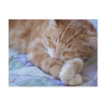 Cole postcards