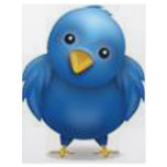 Coleção Twitter flyers