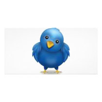 Coleção Twitter Photo Greeting Card