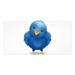 Coleção Twitter photo cards