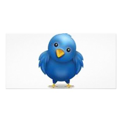 Coleção Twitter Photo Greeting Card by mundialshop