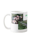 Cole's Photo Shop mugs