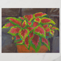 Coleus in Terracotta Full Color Flyer