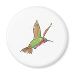 colibri bird magnets