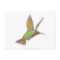 colibri bird post cards
