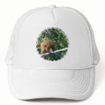 Collared Lemur Baseball Hat