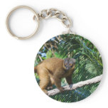 Collared Lemur Keychain