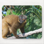 Collared Lemur Mouse Pad mousepads