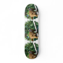 Collared Lemur Skateboard