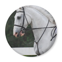 Collected White Horse  Magnet