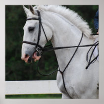 Collected White Horse Poster
