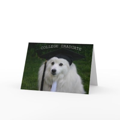 College Gradulate Greeting Cards by sunfun38