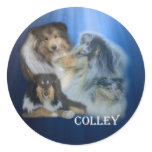 colley stickers