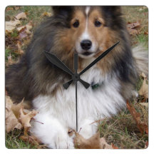 collie-6 clock